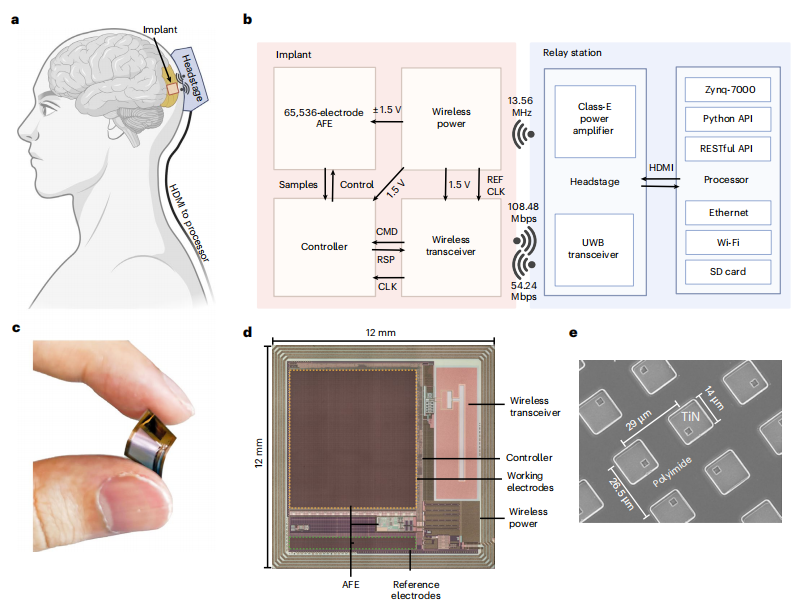 图丨BISC 植入体与可穿戴式转发器(来源:Nature Electronics)